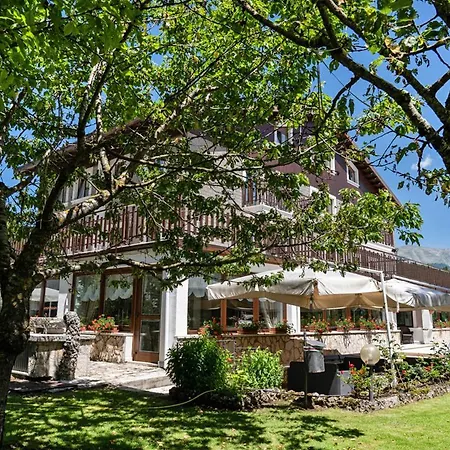 Edelweiss Pescasseroli