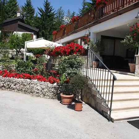 Edelweiss Pescasseroli