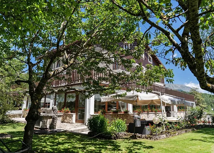 Edelweiss Pescasseroli