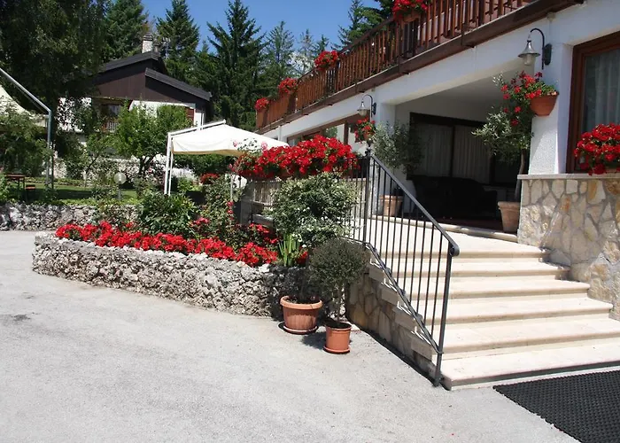 Edelweiss Pescasseroli